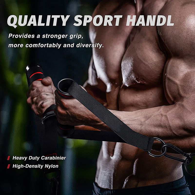 Heavy Duty Cable Machine Handl - đánh giá và giá Gymnastic Ring